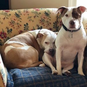 Meet your Posher, Ingrid